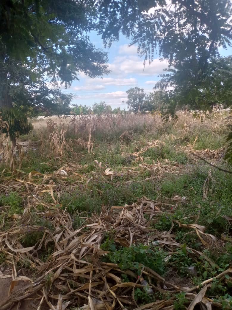 Property Thumbnail